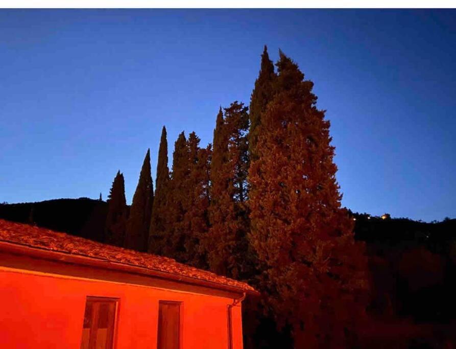 Uno Spazio Di Relax In Toscana Διαμέρισμα Buti Εξωτερικό φωτογραφία