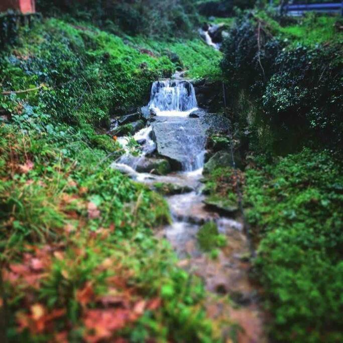 Uno Spazio Di Relax In Toscana Διαμέρισμα Buti Εξωτερικό φωτογραφία